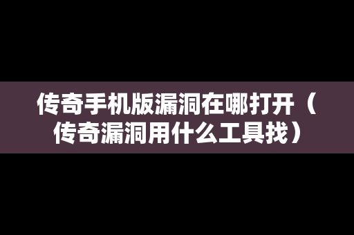 传奇手机版漏洞在哪打开（传奇漏洞用什么工具找）