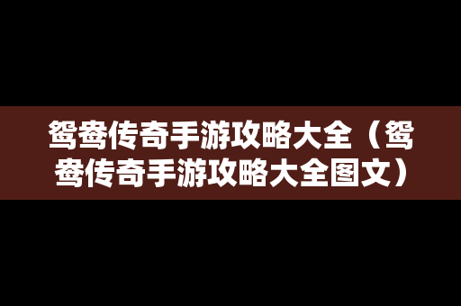 鸳鸯传奇手游攻略大全（鸳鸯传奇手游攻略大全图文）