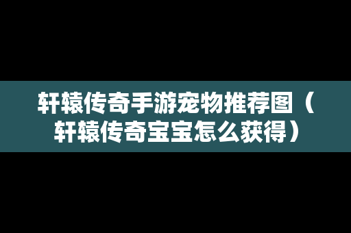 轩辕传奇手游宠物推荐图（轩辕传奇宝宝怎么获得）