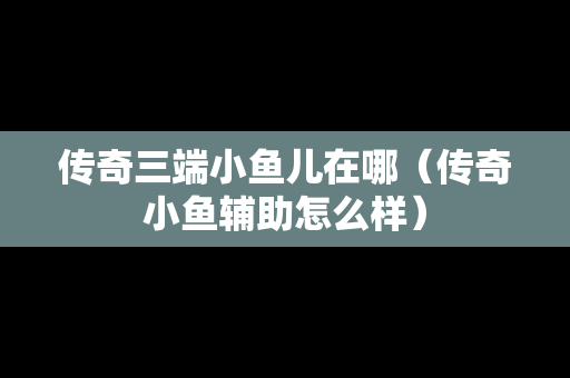 传奇三端小鱼儿在哪（传奇小鱼辅助怎么样）