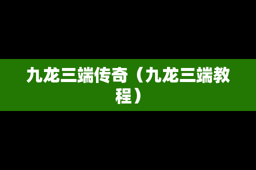 九龙三端传奇（九龙三端教程）